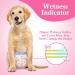 Dono Disposable Dog Diapers for Females - Super Absorbent & Leak-Proof 48 Count | XXS to L | Ideal for Heat Incontinence & Periods - Buy Online on GoSupps.com