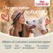 PET CORRECTOR Dog Trainer 200ml - Stop Barking, Jumping, Place Avoidance & More - Safe, Humane & Effective - One Pack - Buy Online on GoSupps.com