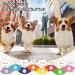 Shop Mmggaish 8 Colorful Dog Buttons for Communication | Complete Pet Training Set with 50 Stickers & Fixing Pads | International Shipping Available - Buy Online on GoSupps.com