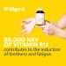 Wellgard Vegan Vitamin B12 High Strength Supplement - Folic Acid, Vitamin B6 & D3 - Made in UK - Buy Online on GoSupps.com