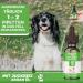 HelloAnimal Itch Argan Oil for Dogs & Cats | Skin Relief for Irritations Lice & Fleas - Immediate Help - Buy Online on GoSupps.com