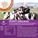 Wellness Core Original Puppy Natural and Grain-Free Dry Food for Small and Medium Breed Puppy Turkey/Chicken 1.5 kg - Buy Online on GoSupps.com