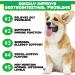 Probiotics for Dogs Pre & Probiotic Digestive Treats for Dogs Support Gut Health Digestive and Immunity Boost Heatlth & Energy for All Ages and Breeds 30 Chews Duck Flavor - Buy Online on GoSupps.com