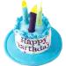 Ushang Pet Birthday Party Set - Blue Cat Happy Birthday Hat with Candles & Bandana Scarfs | Cat Birthday Supplies & Decorations - Buy Online on GoSupps.com