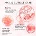 EC Nail Cuticle Oil Vitamin E + B | 100% Pure, Natural & Scented with Jojoba Bean Rose | Nourish, Soothe & Moisturize Dry Nails (0.53 oz) - Buy Online on GoSupps.com