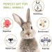 Natural Guinea Pig & Rabbit Chew Toys - Promotes Dental Health & Relieves Anxiety (10 pcs) - Buy Online on GoSupps.com