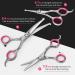 6 in 1 Professional Dog Grooming Scissors Kit with Safety Round Tips - Titanium Coated Stainless Steel Shears for Pets - Pink - Buy Online on GoSupps.com