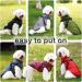Waterproof Winter Dog Coat with Harness | Cozy Warmth for Small, Medium, Large Dogs | Black - Buy Online on GoSupps.com