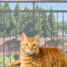 Piowet Cat Balcony Rail Net Cat Anti-Fall Netting Pet Balcony Mesh Fence Net Child Safety Screen Protection Crib Mesh for Pets Baby