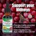 Nature's Answer Cranberry Extract | Alcohol-Free, Vegan & Gluten-Free | 1oz for Urinary Health - Buy Online on GoSupps.com