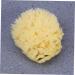 FOMIYES Bath Scrubber Face & Body Sponge - Natural Baby Bath Sponge - Disposable Shower Sponge - Buy Online on GoSupps.com