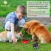 SunGrow Collapsible Treats & Water Bowls for Ferrets, Finches, Parakeets, and Baby Chickens - Portable Pet Travel Dish and Feeder - Buy Online on GoSupps.com