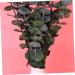 Zerodeko 10pcs Flower Plants Wedding Bouquets Eucalyptus Branches Naturales Faux Eucalyptuses Faux Eucalyptus Leaves Eucalyptus Tree Leaves Fake Eucalyptus Christmas Decorations - Buy Online on GoSupps.com