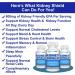 Kidney Restore & Kidney Shield 2-Pack Kidney Support and Kidney Cleanse Kidney-D Supplement Vitamin D Bundle - Buy Online on GoSupps.com