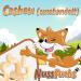 Buy 100% Natural Cashew Nuts 1.5kg - Unroasted Unsalted Whole Cashew Kernels - Nut Fox - Buy Online on GoSupps.com