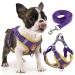 Rennaio dog harness no pull adjustable puppy dishes with 2 linen clips ultra comfortable chest harness and leash set for small and medium-sized dogs (purple s) purple s