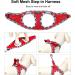 Doramio Dog Harness for Small Dogs | Reflective Breathable & Safe | Includes Leash | Perfect for Cats | Size L - Red - Buy Online on GoSupps.com