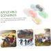 Solustrie 18-Sentence Contact Lens Container & Holder Kit | Glossy Travel Mirror & Tweezers - International Shipping Available - Buy Online on GoSupps.com