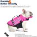 Petglad Dog Life Jacket Wings Design | Reflective Flotation Swim Vest for Dogs | Pink L (Chest Girth 19.7 - 29.5) | Ideal for Pool, Beach, Boating | Puppy to Large Size - Buy Online on GoSupps.com