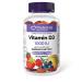 Preferred Nutrition Vitamin D3 1000IU 90 Gummies Mixed Berry-Peach Helps Support Immune Function Vegetarian 90 count (Pack of 1) D3 1000 IU