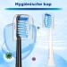 REDTRON replacement brush heads for Philips Pro Results 8 pieces replacement brush heads for FlexCare ProtectiveClean HealthyWhite EasyClean and PowerUp black 8 Black and blue - Buy Online on GoSupps.com