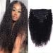 Cecycocy Kinky Curly Clip in Hair Extensions Human Hair for Black Women - 8Pcs 18Clips Double Weft Brazilian Remy Human Hair 3C 4A Clip in Extensions Thick to Ends 120G/4.2oz Natural Black (18 inch) 18 Inch curly