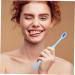 Shop Minkissy 15-Piece Travel Toothbrush Set - Foldable Camping Cleaning Accessories | Soft PP Adult Toothbrush Bulk - Buy Online on GoSupps.com