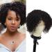 Blissource Short Kinky Curly Wigs Human Hair Wigs for Black Women 10inch Short Curly L Part Lace Front Wigs 150% Density Unprocessed Brazilian Glueless Wigs Side Part Wig African American Women Wig natural(kinky curl) 10...