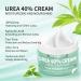 Urea Cream 40 Percent For Feet Plus 2 Salicylic Acid 5.29 oz  Foot Cream and Hand Cream Maximum Strength with Hyaluronic Acid Tea Tree and Aloe Vera for Deep Moisturizes Callus Remover and Soften 5.29 Ounce (Pack of  - Buy Online on GoSupps.com