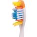 RM Oral Whitening Cavity Defense Soft Toothbrushes 4 Count Twin Pack - Gentle Cleaning for Brighter Smiles - Buy Online on GoSupps.com