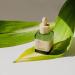 Rejuvenating Serum with Bakuchiol | Vegan Korean Skincare for Fine Lines Wrinkles & Elasticity | 35 mL - Buy Online on GoSupps.com