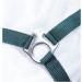 Nylon Halter BASICLINE - Dark Green Warmblood | RL24 | Durable & Stylish Horse Gear - Buy Online on GoSupps.com