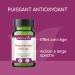 Polyph nols Anti-Ox 30 G lules - Compl ment Alimentaire 100% Naturel Base de V g taux - Resv ratrol Ac rola Sauvage Cacao Grenade Mat Th Vert Th Noir Vitamine E - Antioxydant - Buy Online on GoSupps.com