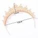 FORSEVEN Crystal Wedding Tiara for Women - Gold+Green Princess Crown Headband - Buy Online on GoSupps.com