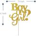 Tenhaisi Boy or Girl Cake Topper Boy and Girl Baby Shower Party Supplies Decor Gender Reveal Party Decoration Gold Glitter - Buy Online on GoSupps.com