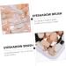 Healeved 5 Boxes creamy eyeshadow non latex Eye Shadow Sponge plastic eyeshadow sponge - Buy Online on GoSupps.com
