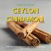 Ceylon Cinnamon Capsules 500mg x 90 - Vegan and Made in the UK - Buy Online on GoSupps.com