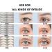 780Count 3 Styles Eyelid Tape Invisible Eyelid Strips Droopy Eyelid Lifter Self-Adhesive Fiber Eyelid Correcting Strips for Droopy Hooded Mono-eyelids 3Styles 780Pcs HZ One-sided sticky - Buy Online on GoSupps.com