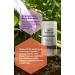 Vegan Menopause Supplements | Perimenopause & Menopause Vitamins for Women | 60 Capsules for Menopause Support - Buy Online on GoSupps.com