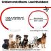 Nepfaivy Light Neck Band for Dogs - USB Charging Waterproof LED Collar with 3 Modes Adjustable Length for Large & Medium Dogs (Red-B) - Buy Online on GoSupps.com
