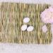 Grass Mat Woven Bed Mat for Small Animal Bunny Bedding Nest Chew Toy Bed Play Toy for Guinea Pig Parrot Rabbit Bunny Hamster Rat(Pack of 3) (3 Grass mats) Basic - Buy Online on GoSupps.com