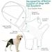1PC Dog Knee Brace for Torn ACL Hind Leg Adjustable Dog Acl Knee Brace Support for Large and Small Dogs with ACL CCL Cruciate Ligament Injuries for Both Back and Front Legs - Buy Online on GoSupps.com