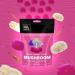 Happy Healthy Wellness Vegan Mushroom Gummies - Immunity, Energy, Focus & Mood Boost - 10 Mushroom Extracts with Lion's Mane, Cordyceps & Reishi - BlackBerry Flavor - 30 Gummies - Made in USA - Buy Online on GoSupps.com