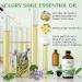 EVOKE OCCU Clary Sage Essential Oil 118ml - 4 FL Oz | Pure Sage Oil for Diffuser, Massage, Fragrance, Candle & Soap Making - Buy Online on GoSupps.com