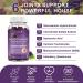 Multitea Glucosamine Chondroitin Gummies - Extra Strength Joint Support with MSM & Elderberry - 2 Pack, 60 Count Each - Antioxidant & Immune Support for Adults - Buy Online on GoSupps.com