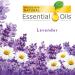 Buy Air Wick Plug-in Scented Oil Refills - Lavender & Chamomile (12 Pack Essential Oils) | International Shipping Available - Buy Online on GoSupps.com