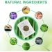 100Pcs Detox Foot Pads for Stress Relief & Better Sleep | Natural Ingredients Bamboo Vinegar & Ginger | Deep Cleansing Foot Patch (White) - Buy Online on GoSupps.com
