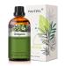 PHATOIL Oregano Essential Oil 30ML Premium Grade Pure Essential Oils for Diffusers for Home Perfect for Aromatherapy Diffuser Humidifier Candle Making Oregano 30.00 ml (Pack of 1)