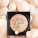 Autoecho Air-Permeable Mushroom Head Makeup - Light Concealer Air Cushion BB Cream Waterproof Moisture Primer Brightening Cosmetic Tool - Shop Now! - Buy Online on GoSupps.com