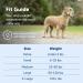 Buy PetSafe Gentle Leader Collar with Training DVD - Beige Small - International Shipping Available - Buy Online on GoSupps.com